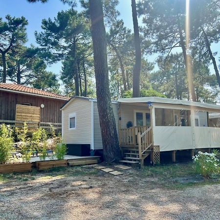 La Cabane Des Pins Lege-Cap-Ferret Exterior photo